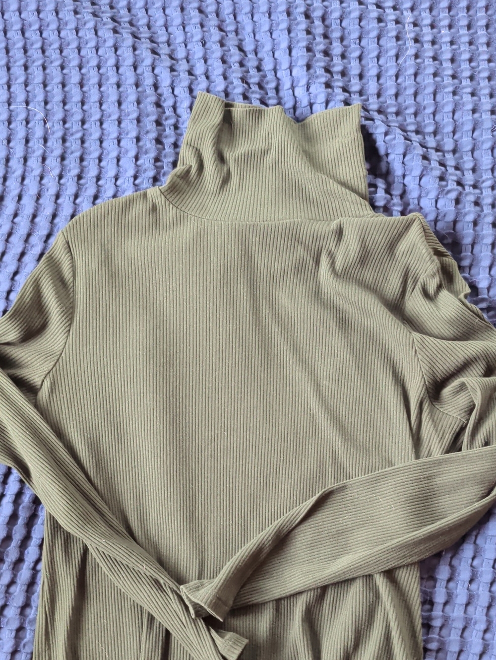 Ribbed Turtleneck
